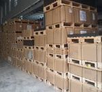 22382106 351594265279975 9190961310050829725 o